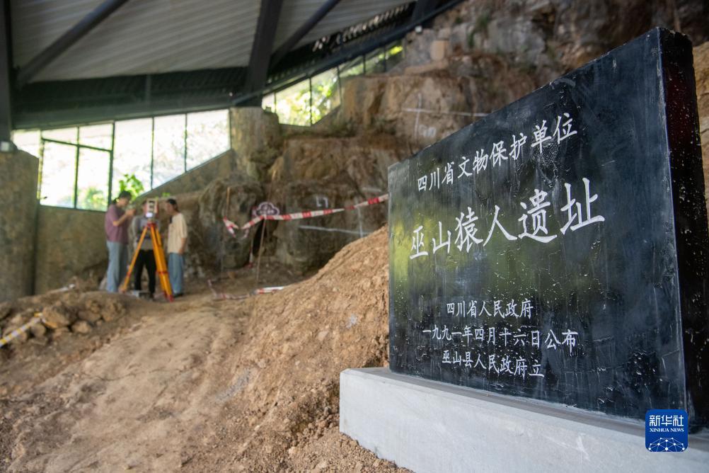 轮盘游戏小说